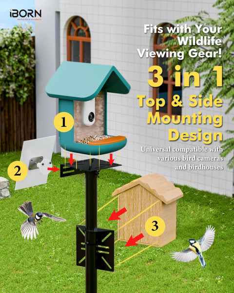 Outdoor Bird Feeder Pole Mounting Kit With A 1 Inch Thick Pole Universal Brackets For Camera Feeders And Birdhouses Bluebird House Mounting Setup For Backyard Bird Watching And Easy Outdoor Install
