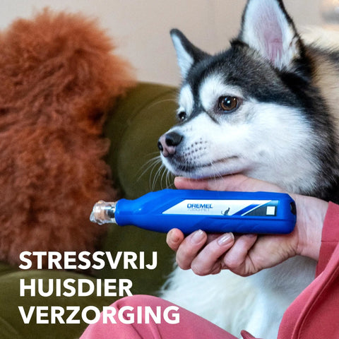 No-Fuss Rechargeable Pet Claw Grinder For Dogs And Cats Quiet Lightweight Rotary Nail Trimmer with dog resting in hand.