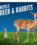 Deer and rabbit on grass with text 'Repels Deer & Rabbits', highlighting Deer And Rabbit Repellent Concentrate 40 Ounces Year Round Garden Spray For Plants Flowers Shrubs And Trees Long Lasting Rain Resistant Keeps Pests Off Your Yard.