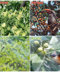 Ultra Fine Garden Netting For Insects And Birds Keeps Bugs And Critters Out While Letting Air Light And Water In Large 4x25 Ft Mesh Plant Cover For Vegetables