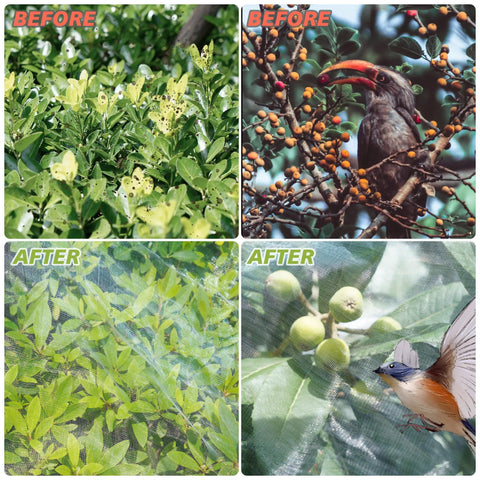 Ultra Fine Garden Netting For Insects And Birds Keeps Bugs And Critters Out While Letting Air Light And Water In Large 4x25 Ft Mesh Plant Cover For Vegetables
