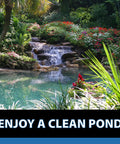 Lush water garden with waterfall using MuckOff Pond Muck Treatment For Water Gardens And Bird Baths With Natural Bacteria And Enzymes.