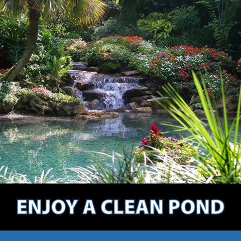Lush water garden with waterfall using MuckOff Pond Muck Treatment For Water Gardens And Bird Baths With Natural Bacteria And Enzymes.