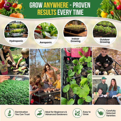 75 Vegetable And Greens Seed Variety Pack With Garden Starter Kit For Indoor And Outdoor Planting Non GMO Heirloom Seeds Over 44,700 Seeds In A Seed Box With Tools, Gloves, And Dispenser A Great Gift For Gardeners