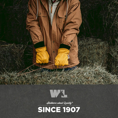 Person wearing HydraHyde Water Resistant Cowhide Insulated Leather Work Gloves With Reinforced Palm For Grip Like A Boss And 3M Thinsulate Warmth Slip On Knit Wrist XL Size handling hay.