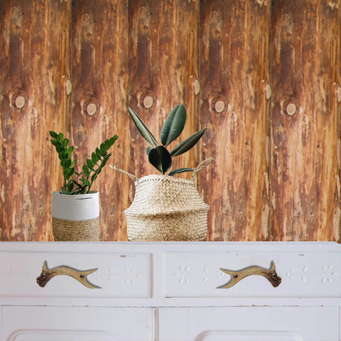 Rustic Faux Antler Cabinet Drawer Pulls Set Of 2 6 Inch Long With Screws Included on white cabinet against wood wall