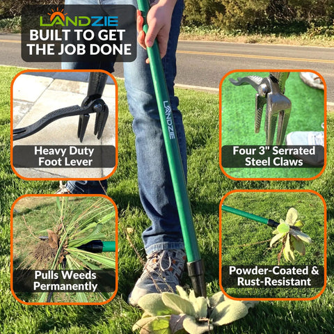 Stand Up Weeder Tool With 55 Inch Steel Long Handle For Easy Root Removal In Lawns And Gardens, Claw And Lever Mechanism
