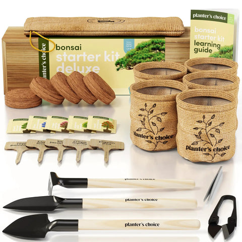 Bonsai Starter Kit With Five Varieties Black Locust Blue Jacaranda Crape Myrtle Pigeon Pea Delonix Regia All In One Deluxe Indoor