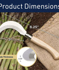 8 Inch Hand Sickle Hawkbill Garden Knife With Beechwood Handle For Harvesting, Weeding, And Pruning on asparagus with dimensions