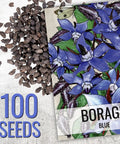 Borage Seeds For Planting Blue And White Star Flowers Non GMO Heirloom And Untreated Garden Seeds For Indoors Or Outdoors Use Easy To Grow And Self Seed Pollinator Friendly 2 Packets