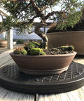Mini Bonsai Tree Turntable With A Twelve Point Five Inch Base And Stainless Steel Ball Bearings 360 Degree Rotation For Easy Pruning And Pro Grade Displays Holds Up To Two Hundred Pounds Indoor Or Outdoor with bonsai tree on top