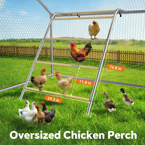 Chickens and ducks using perch inside heavy duty metal chicken coop with weatherproof canopy for farm and backyard use.
