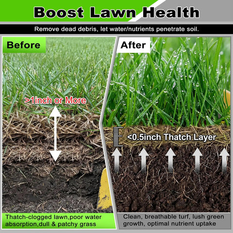 Before and after image showing lawn with thatch layer comparison, highlighting benefits of using Wheeled Thatch Rake For Lawns, 15.28 Inch Steel Dethatcher With Adjustable 0 To 15 Degree Angle And 62.99 Inch Handle, Heavy Duty Yard Tool For Dead Grass Moss Removal And Lawn Care.