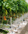 Greenhouse with misting system using 30 Pack Brass Misting Nozzles 0.020 Inch Hole 0.5 Mm 10-24 UNC Thread High Pressure Anti Drip Sprayer Heads
