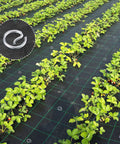Heavy Duty 7 Gauge Thickened Garden Fabric Stakes 6 Inch Galvanized Landscape Staples With Circle Top Ground Pins used in a garden