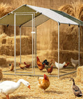 Beefy Metal Chicken Coop For 9 To 13 Hens Outdoor Run With Heavy Duty Frame, Waterproof PE Cover in hay-filled environment