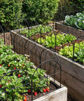 Arch Black No Dig Metal Garden Fence Panels, 6 Pack, Rustproof Border Fencing For Flower Beds, Rabbits And Dogs, 24 Inches High