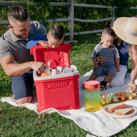 Family enjoying picnic with Profile II 16 Quart Red Cooler With Fold Flat Bail Handle, Cool Riser Technology For Superior Cooling.