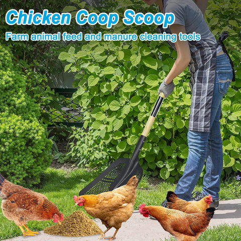 Person using Beast Sand Sifter Shovel With Dense Hole Square Head And Wooden Handle For Beach Cleanup And Shell Separation around chickens.