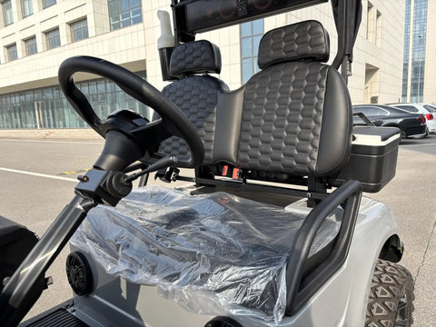 Two Seater Electric Golf Cart With Independent MacPherson Strut Suspension And Tuned Coil Spring Shocks interior view of seats and steering wheel.