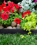 Super Easy Tall 2.5 Inch Woodgrain Wall No Dig Landscape Edging Kit in Black holds rocks and flowers in garden border