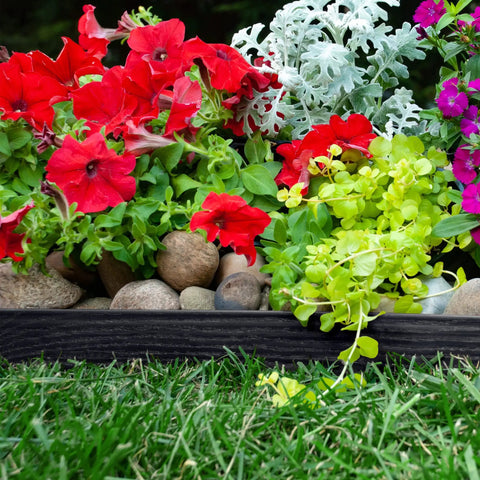 Super Easy Tall 2.5 Inch Woodgrain Wall No Dig Landscape Edging Kit in Black holds rocks and flowers in garden border