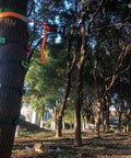 16 Piece Kids Climbing Rocks Set With Zip Line Accessories Non Slip Tree Rock Holds installed on tree in forested area