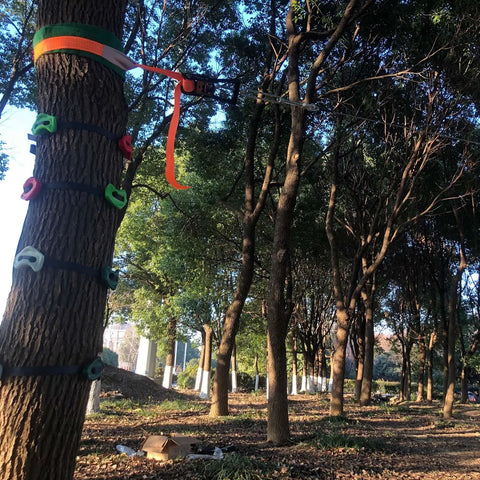 16 Piece Kids Climbing Rocks Set With Zip Line Accessories Non Slip Tree Rock Holds installed on tree in forested area
