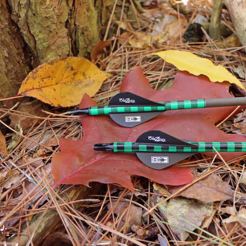2 Inch Hunt Ready Vane For 3D Setups Black 50 Pack AR1000 Material Forgiving Flexible Durable Arrow Vane outdoors on autumn leaves.