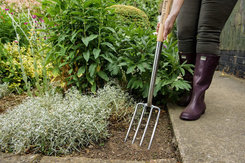 Gardener using Stainless Steel Border Fork 39 Inch Overall Length With Ash Filled Long YD Handle Beast Through Tough Edging