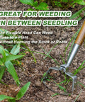 58 Inch Long Reach Stainless Steel Scuffle Hoe For Standing Weeding In Push Pull Motion in use in a garden