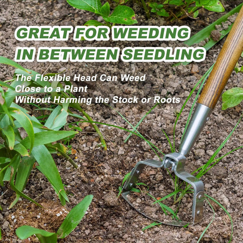58 Inch Long Reach Stainless Steel Scuffle Hoe For Standing Weeding In Push Pull Motion in use in a garden