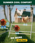Chickens on Natural Wood Chicken Perch Roosting Bars For Coop And Backyard Poultry with 4-tier roost ladder in a coop.