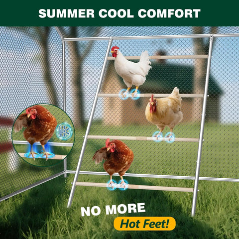 Chickens on Natural Wood Chicken Perch Roosting Bars For Coop And Backyard Poultry with 4-tier roost ladder in a coop.