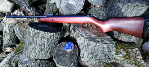 Two Forty Classic.177 caliber air rifle with hardwood stock on logs, fiber optic sights visible
