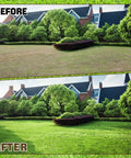 Before and after image of a lawn showing the effect of using spiked shoes for epoxy floor coating and lawn aeration.