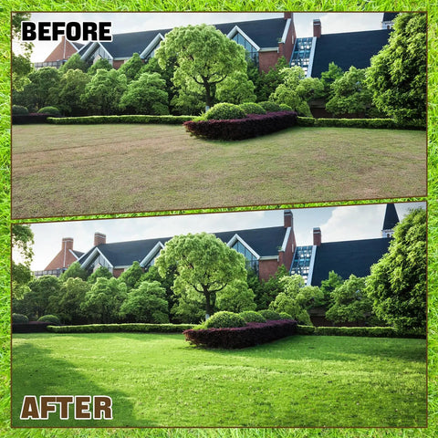 Before and after image of a lawn showing the effect of using spiked shoes for epoxy floor coating and lawn aeration.