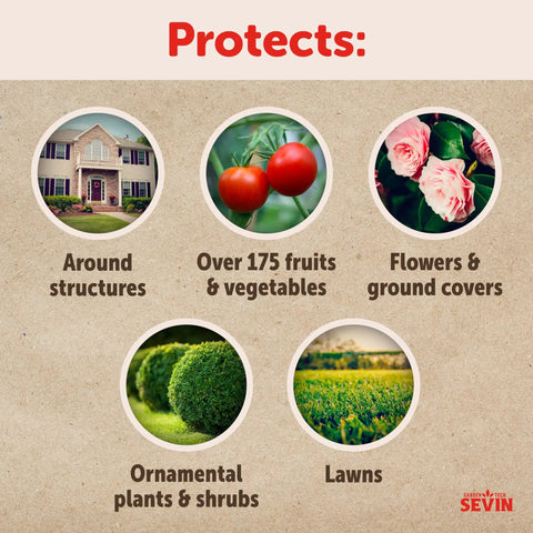 Infographic showing protection areas of insect granules for lawns, gardens, structures, fruits, flowers, plants, and lawns