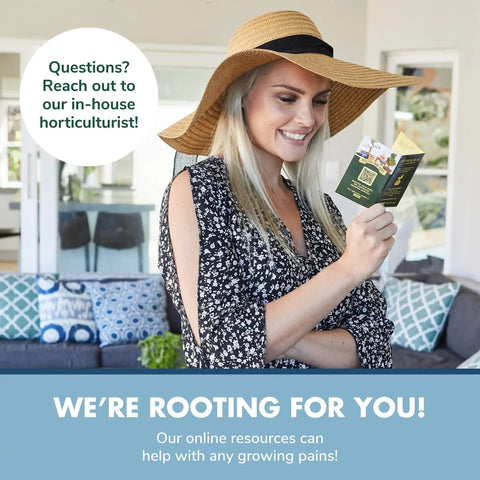 Woman reading instructions for DIY Indoor Herb Garden Starter Kit With Heirloom Non GMO Seeds For Basil Thyme Parsley Cilantro Plus Potting Soil Pots And Scissors Grow Fresh Kitchen Herbs On Your Balcony Or Window Sill.