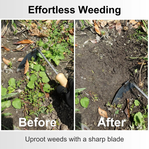 Before and after using 11 Inch Compact Japanese Weeding Sickle Nejiri Gama Hand Hoe for precise garden weed removal.