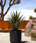 Round Black Plastic Planter Pots With Drainage Holes For Indoor Outdoor Use, Durable Plastic Stone Composite Planters, 20 Inches