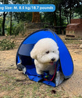 Medium dog inside Portable Pop Up Pet Tent Sun Shade Shelter For Dogs, Cats And Small Animals, UV Blocking Beach Hideaway.