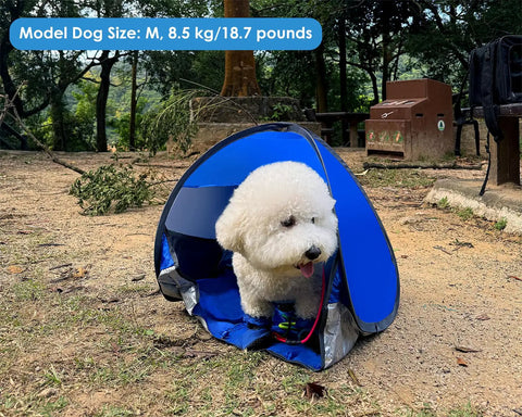 Medium dog inside Portable Pop Up Pet Tent Sun Shade Shelter For Dogs, Cats And Small Animals, UV Blocking Beach Hideaway.