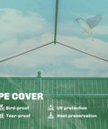 Walk In Tunnel Greenhouse With Shelves And Mesh Door showing PE cover benefits like bird-proof and UV protection.