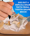 Hand excavating replica shark teeth from a tooth-shaped brick, part of the Shark Tooth Dig Kit Excavate Replica Fossils From Ancient Sharks And Make A Shark Tooth Necklace STEM Science Kit For Kids Ages 6 To 8 With Hands On Fun And Educational Fossil Dig Activity.