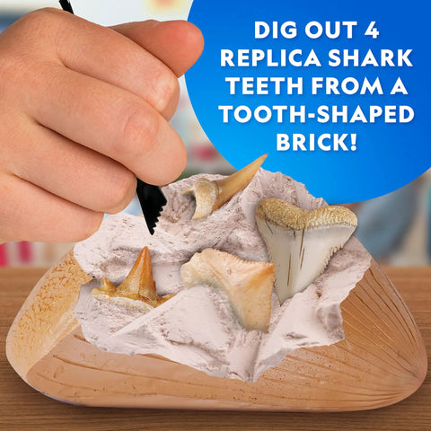Hand excavating replica shark teeth from a tooth-shaped brick, part of the Shark Tooth Dig Kit Excavate Replica Fossils From Ancient Sharks And Make A Shark Tooth Necklace STEM Science Kit For Kids Ages 6 To 8 With Hands On Fun And Educational Fossil Dig Activity.