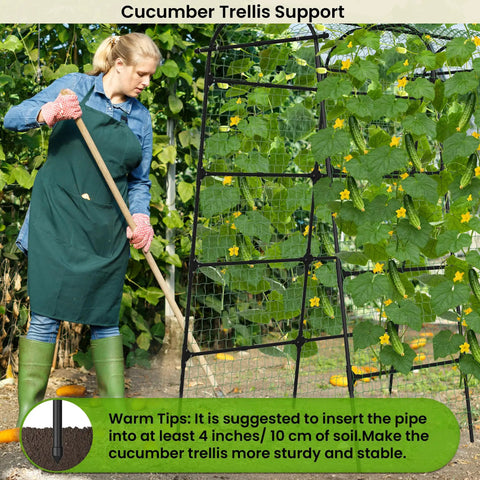 Gardener using 7 Ft Adjustable Garden Arch Trellis For Climbing Plants, Heavy Duty Rustproof Stainless Steel Cucumber Support in garden