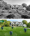 Before and after of lawn with Eight Pack Solar Powered Ultrasonic Pest Deterrents For Lawn Yard Garden, showing improved yard.