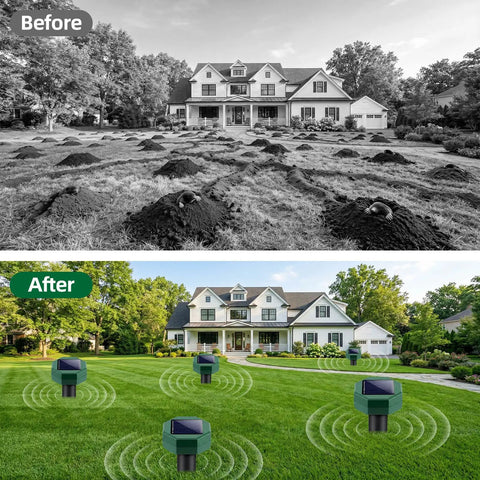 Before and after of lawn with Eight Pack Solar Powered Ultrasonic Pest Deterrents For Lawn Yard Garden, showing improved yard.
