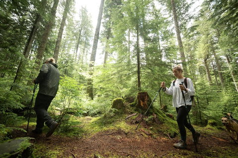Hikers with Pair Of Adjustable Trekking Poles With Aircraft Grade Aluminum, Cork Grip, And EVA Extended Grip In Bright Orange on forest trail